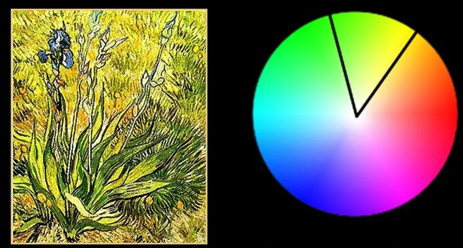 ANALOGOUS COLORS