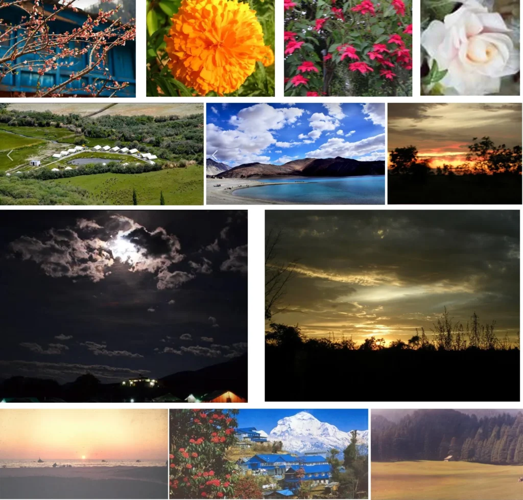 BEAUTY IN NATURE