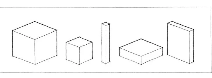 CHARECTERSTICS OF FORM ONE