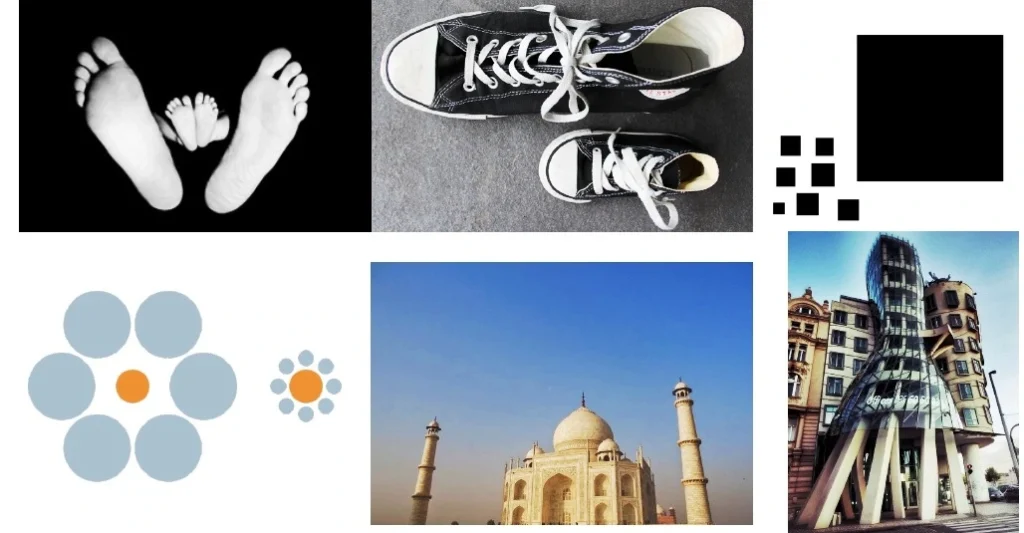 CONTRAST (VARITY) IN SIZE AND SHAPE