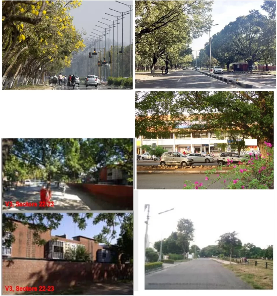 PATH ELEMENT OF A CITY FIVE