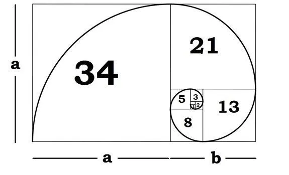 PROPORTION FOUR