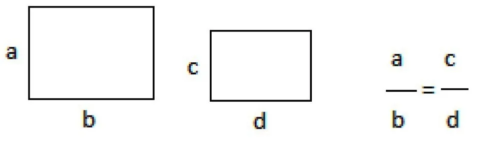 PROPORTION THREE