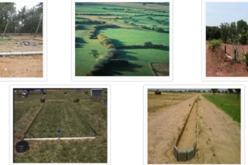 SHAPE AND SIZE OF THE SITE