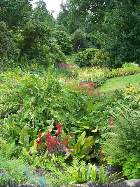 BOG GARDEN