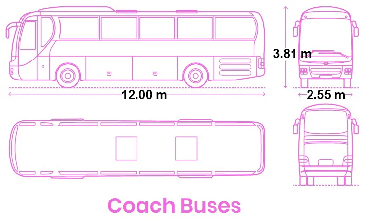 BUSES ONE