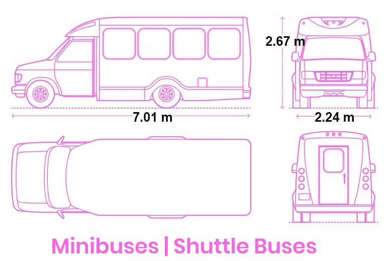 BUSES THREE