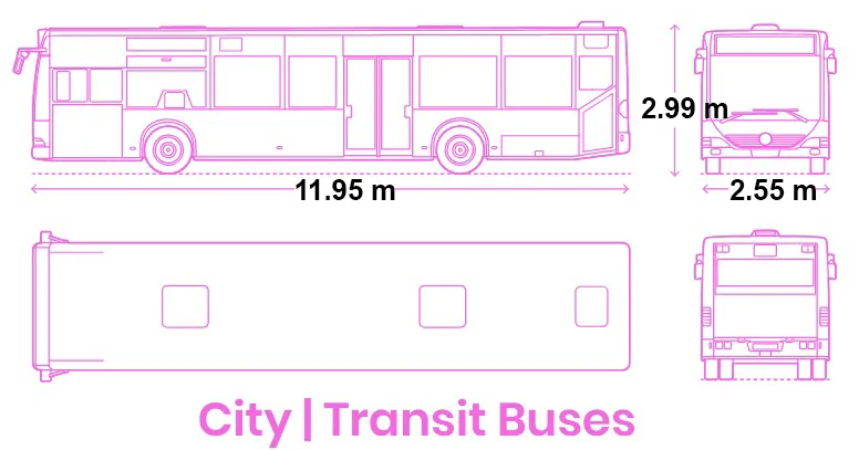 BUSES