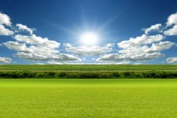 DAY LIGHTING ONE