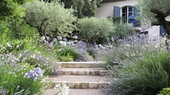 ENGLISH GARDEN