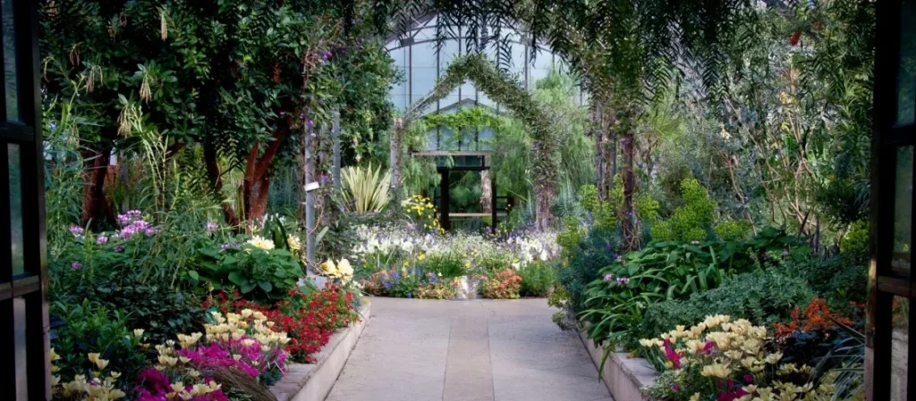 FEATURES OF INFORMAL GARDEN