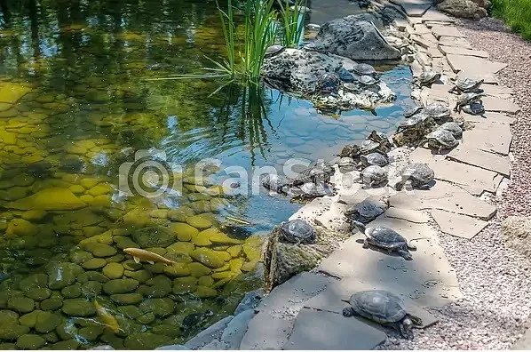 FEATURES OF JAPANESE GARDEN ONE