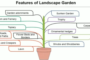 FEATURES OF LANDSCAPE GARDEN AND GARDENING PLANTS