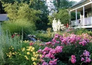 INFORMAL GARDEN