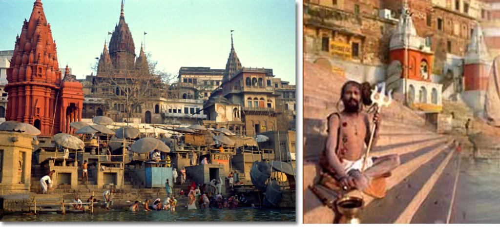 KASHI ONE