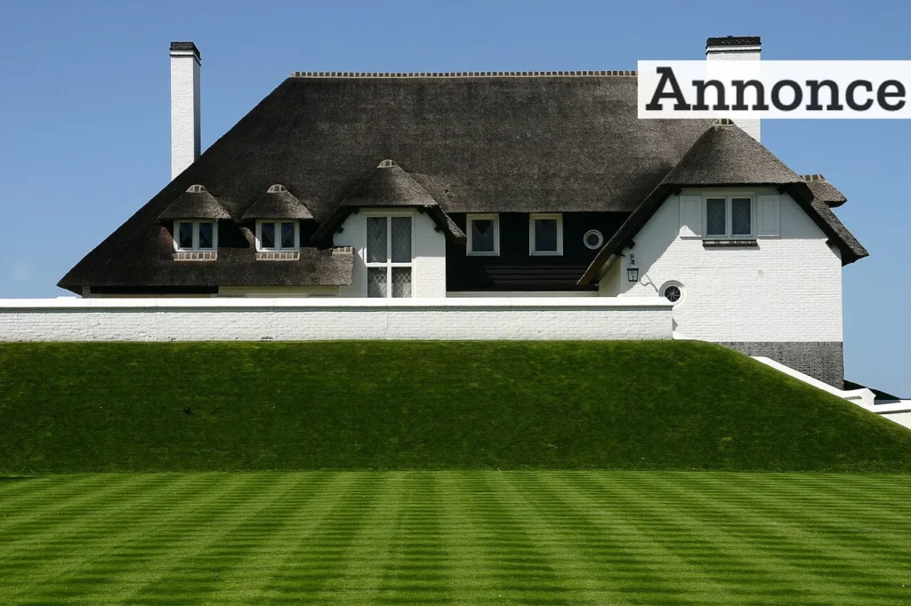 LAWN