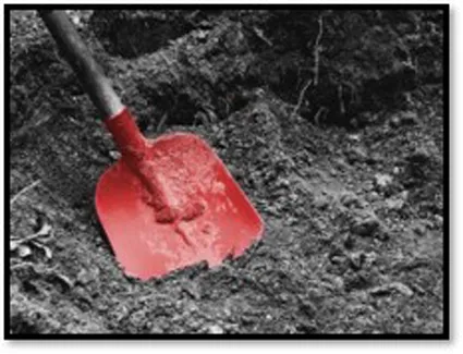 ORDINARY SOIL