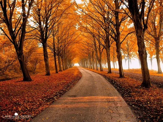 PATHS
