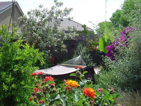 PATIO GARDEN