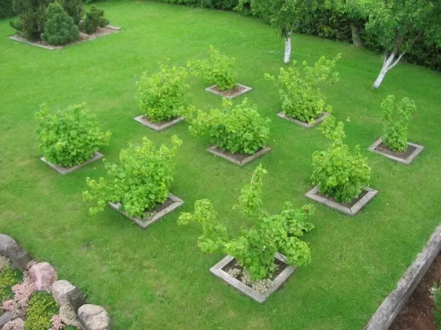 PLANTING OPERATIONS ONE