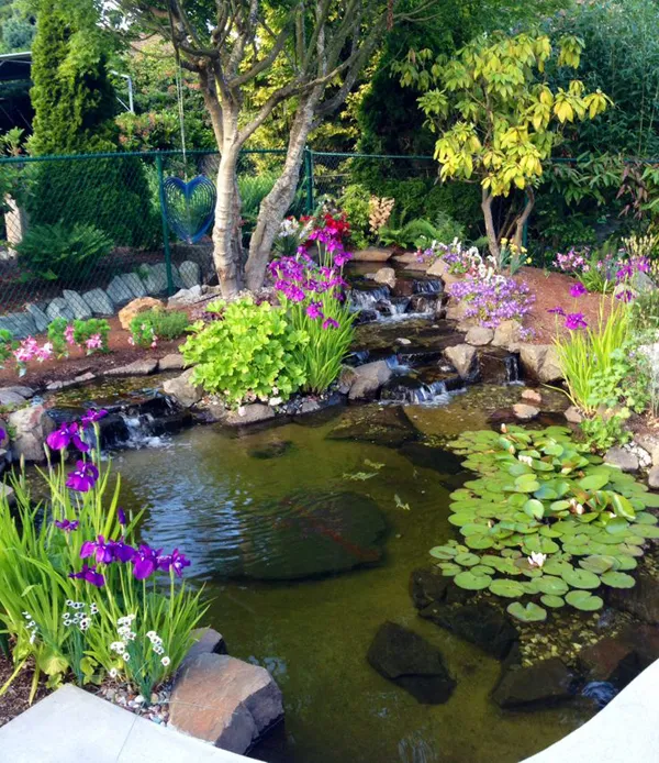 PONDS