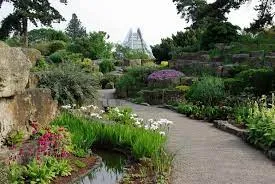 ROCK GARDEN
