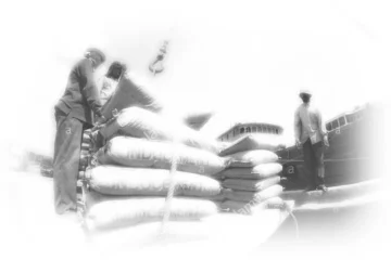 SPECIFICATION ON CARRIAGE AND STACKING OF MATERIAL