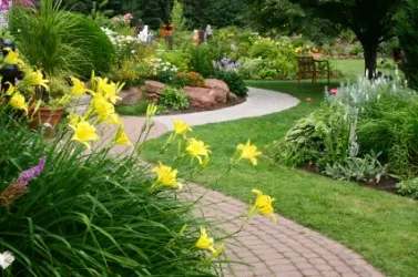 TERMINOLOGY USED IN LANDSCAPE