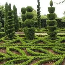 TOPIARY ONE