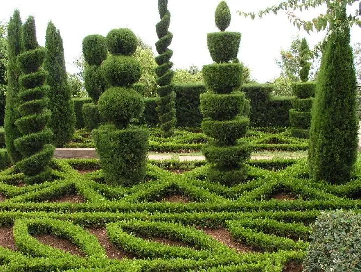 TOPIARY