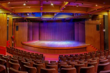 TYPE OF AUDITORIUM
