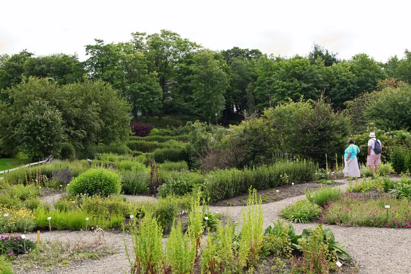 WILD GARDEN ONE