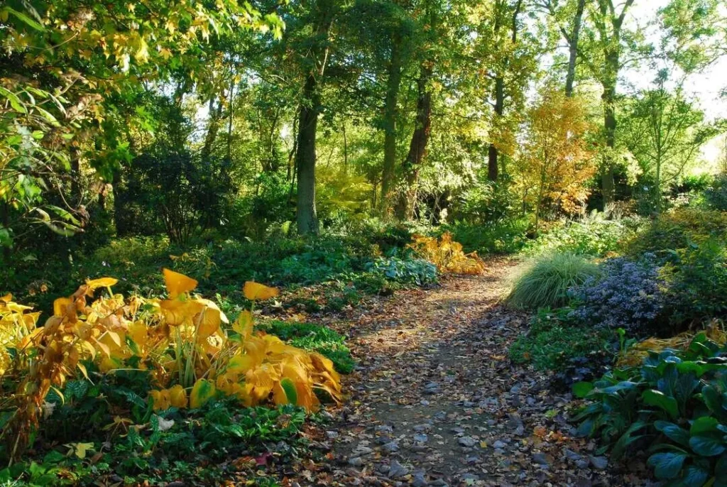 WOODLAND GARDEN