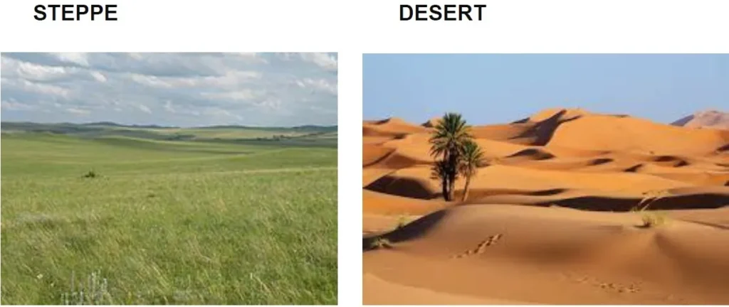 B - DRY ARID CLIMATE ONE