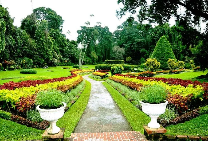 BOTANICAL GARDEN ONE