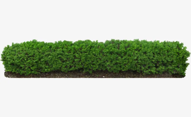 HEDGE