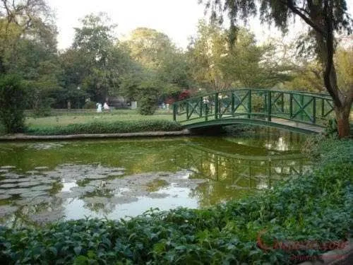 LAW GARDEN
