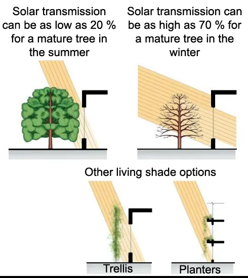 LIVING AWNINGS