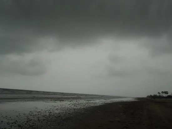 OVERCAST SKY