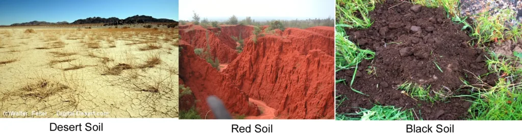 TYPES OF SOIL