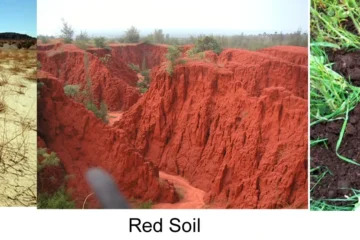 TYPES OF SOIL