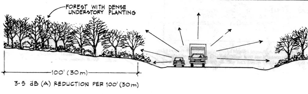 VEGETATION