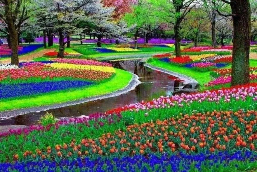 COLOR IN MODERN LANDSCAPE
