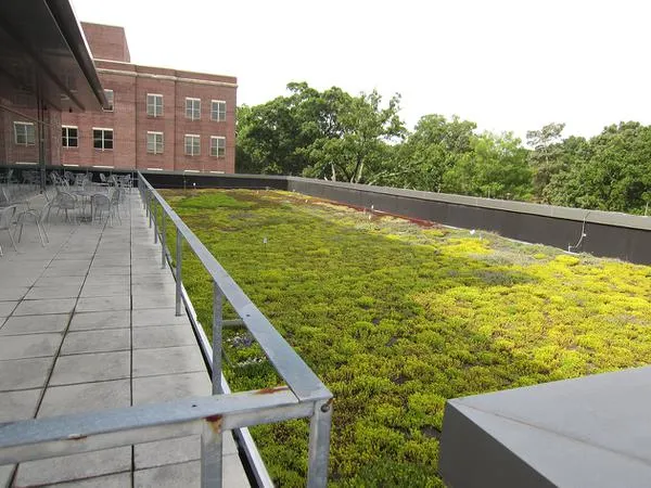 EXTENSIVE GREEN ROOF