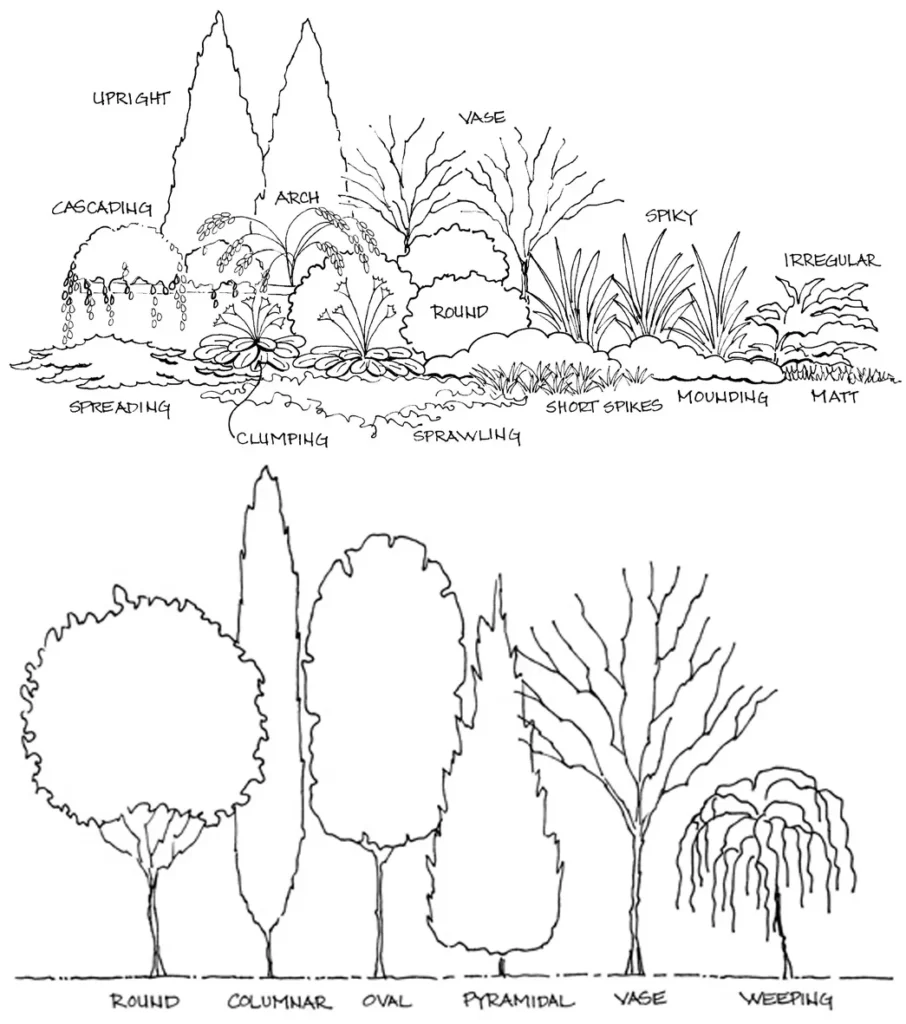 FORM IN LANDSCAPE