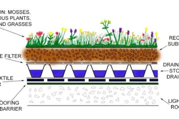 GREEN ROOF DESIGN