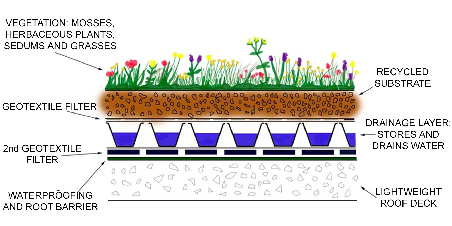 GREEN ROOF DESIGN