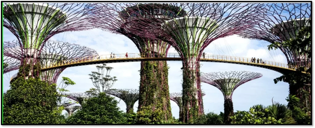 VERTICAL GARDEN