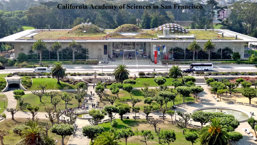 CALIFORNIA ACADEMY OF SCIENCES IN SAN FRANCISCO