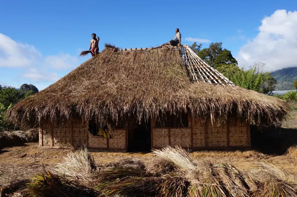 GRASS-ROOFED HOUSES OF PAPUA NEW GUINEA